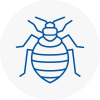 Bed Bug Extermination In Finsbury