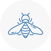 Bee Nest Removal Finsbury