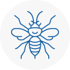 Finsbury Hornet Nest Removals