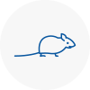 Mice Exterminators In Finsbury