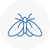 Moth Control Specialists In Finsbury