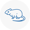 Rat Control Finsbury
