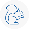 Finsbury Rodent Removals