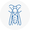 Finsbury Wasp Nest Removal